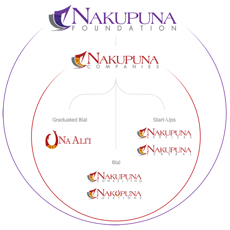 Organization structure image showing the nakupuna family of companies