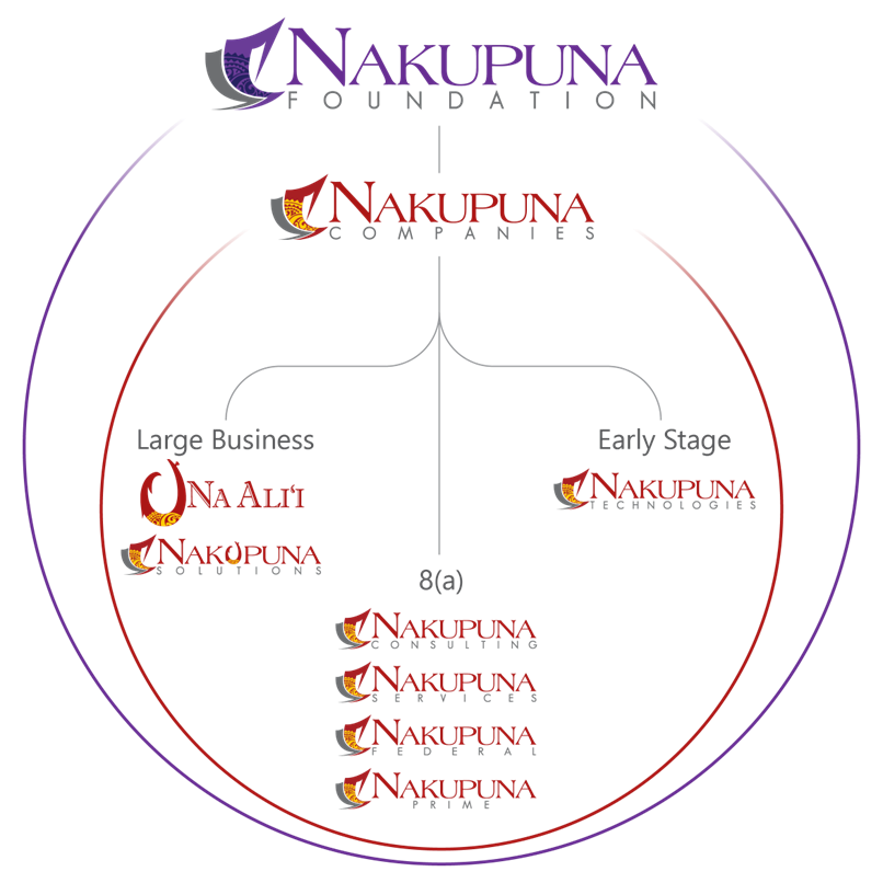 Organization structure image showing the nakupuna family of companies.