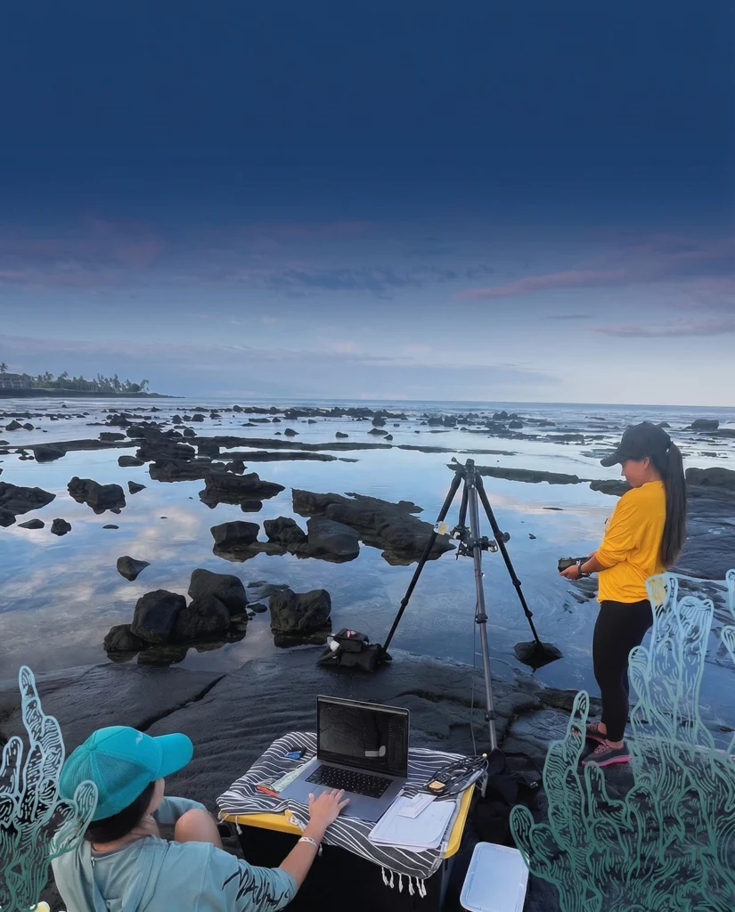 Our News 1 Two people are silhouetted against a twilight sky on a rocky hawaiian shore, one working on a laptop near a tripod, the other holding a camera, hinting at community impact and advancement.